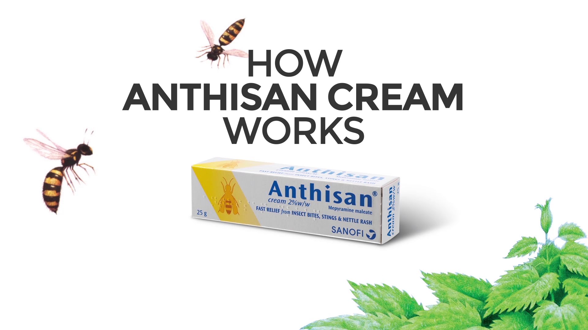 Anthisan logo